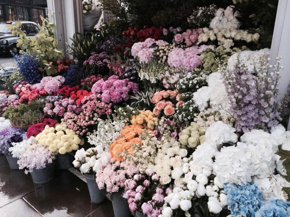 The chelsea flower stand fulham rd
